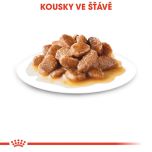Royal Canin Mini Adult kapsička pro dospělé malé psy 85 g