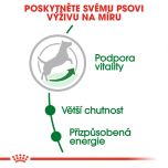 Royal Canin Mini Adult 8+ granule pro stárnoucí malé psy 8 Kg