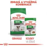 Royal Canin Mini Ageing kapsička pro staré malé psy 85 g