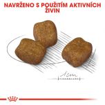 Royal Canin Mini Dental Care granule pro psy snižující tvorbu zubního kamene 8 Kg