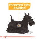 Royal Canin Mini Dermacomfort granule pro malé psy s problémy s kůží 3 Kg