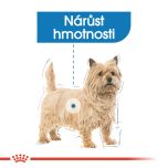 Royal Canin Mini Light Weight Care dietní granule pro psy 3 Kg