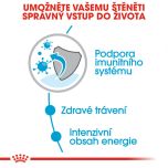Royal Canin Mini Puppy kapsička pro malá štěňata 85 g