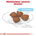 Royal Canin Mini Starter Mother&Babydog granule pro březí nebo kojící feny a štěňata 1 Kg