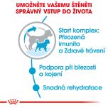 Royal Canin Mini Starter Mother&Babydog granule pro březí nebo kojící feny a štěňata 1 Kg