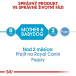 Royal Canin Starter Mousse konzerva pro březí nebo kojící feny a štěňata 195 g