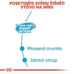 Royal Canin Starter Mousse konzerva pro březí nebo kojící feny a štěňata 195 g