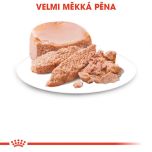 Royal Canin Starter Mousse konzerva pro březí nebo kojící feny a štěňata 195 g