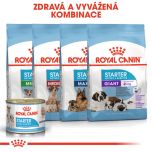 Royal Canin Starter Mousse konzerva pro březí nebo kojící feny a štěňata 195 g