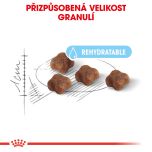 Royal Canin Mother&Babycat granule pro březí nebo kojící kočky a koťata 2 Kg