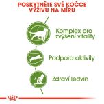 Royal Canin Outdoor 7+ granule pro stárnoucí kočky s častým pohybem venku 2 Kg