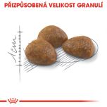 Royal Canin Outdoor 7+ granule pro stárnoucí kočky s častým pohybem venku 2 Kg