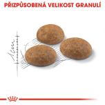 Royal Canin Outdoor granule pro kočky s častým pohybem venku 10 Kg