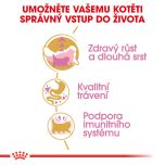 Royal Canin Persian Kitten granule pro perská koťata 2 Kg