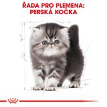 Royal Canin Persian Kitten granule pro perská koťata 2 Kg