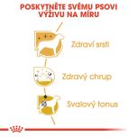 Royal Canin Poodle Adult granule pro dospělého pudla 7.5 Kg