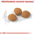 Royal Canin Protein Exigent granule pro mlsné kočky 400 g