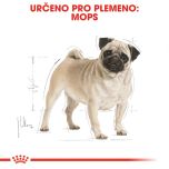 Royal Canin Pug Adult granule pro dospělého mopse 1.5 Kg