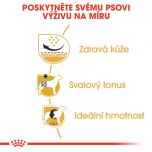 Royal Canin Pug Adult granule pro dospělého mopse 1.5 Kg