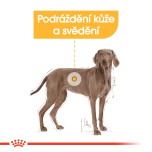 Royal Canin Maxi Dermacomfort granule pro psy velkých plemen s kožními problémy - 12 kg