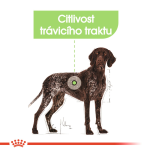Royal Canin Maxi Digestive Care granule pro dospělé psy velkých plemen s citlivým trávením - 12 kg