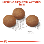 Royal Canin Maxi Digestive Care granule pro dospělé psy velkých plemen s citlivým trávením - 12 kg