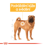Royal Canin Medium Dermacomfort granule pro dospělé psy středních plemen s citlivou kůží - 12 kg