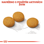 Royal Canin Medium Dermacomfort granule pro dospělé psy středních plemen s citlivou kůží - 12 kg