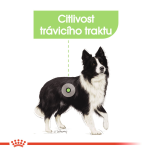 Royal Canin Medium Digestive Care granule pro dospělé psy středních plemen s citlivým trávením - 12 kg