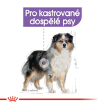 Royal Canin Medium Sterilised granule pro dospělé kastrované psy středních plemen - 12 kg