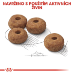 Royal Canin Medium Sterilised granule pro dospělé kastrované psy středních plemen - 12 kg