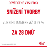Royal Canin Dental Care granule pro dospělé kočky snižující tvorbu zubního kamene - 400 g