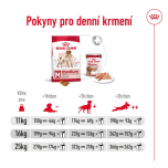 Royal Canin Medium Adult granule pro dospělé psy středních plemen starší 12 měsíců - 15 kg