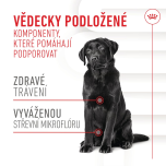 Royal Canin Supplements Dog Digestion Adult suplementy pro psy na podporu zdravého trávicího traktu - 160 g