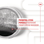 Royal Canin Supplements Dog Digestion Adult suplementy pro psy na podporu zdravého trávicího traktu - 160 g