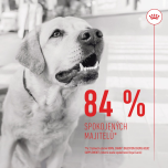 Royal Canin Supplements Dog Digestion Adult suplementy pro psy na podporu zdravého trávicího traktu - 160 g