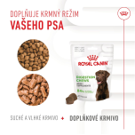 Royal Canin Supplements Dog Digestion Adult suplementy pro psy na podporu zdravého trávicího traktu - 160 g