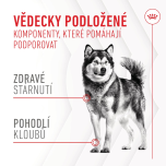 Royal Canin Supplements Dog Joint & Ageing Adult suplementy pro psy na podporu zdravého stárnutí a kvality kloubů - 240 g