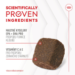 Royal Canin Supplements Dog Joint & Ageing Adult suplementy pro psy na podporu zdravého stárnutí a kvality kloubů - 240 g