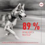 Royal Canin Supplements Dog Joint & Ageing Adult suplementy pro psy na podporu zdravého stárnutí a kvality kloubů - 240 g