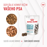Royal Canin Supplements Dog Joint & Ageing Adult suplementy pro psy na podporu zdravého stárnutí a kvality kloubů - 240 g