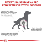Royal Canin Complete feed for adult dogs 2 Kg
