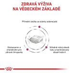 Royal Canin Complete feed for adult dogs 2 Kg