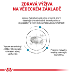 Royal Canin Kompletní dietní krmivo pro malé psy do 10 kg VHN Anallergenic Small Dog 3 Kg