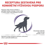 Royal Canin Kompletní krmivo pro psy - pro kastrované dospělé psy středních plemen (od 11 do 25 kg) nebo psy s tendencí přibírat na váze - nad 12 měsíců věku 9 Kg