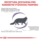 Royal Canin Kompletní krmivo pro kočky - pro dospělé kastrované kočky nebo se sklonem k nadváze - od kastrace do 7 let 8 Kg