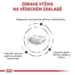 Royal Canin Kompletní krmivo pro kočky - pro dospělé kastrované kočky nebo se sklonem k nadváze - od kastrace do 7 let 8 Kg