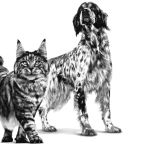 Royal Canin Kompletní dietní krmivo pro psy a kočky 195 g