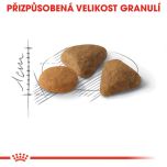 Royal Canin Savour Exigent granule pro mlsné kočky 2 Kg