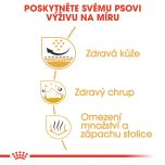 Royal Canin Shih Tzu Junior granule pro dospělého Shih Tzu 1.5 Kg
